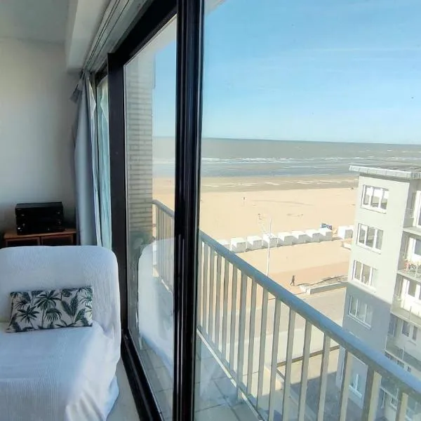 Appartement vue mer, hotel en Koksijde