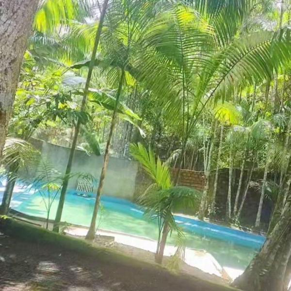 Chácara Bela Vista - Foto 4