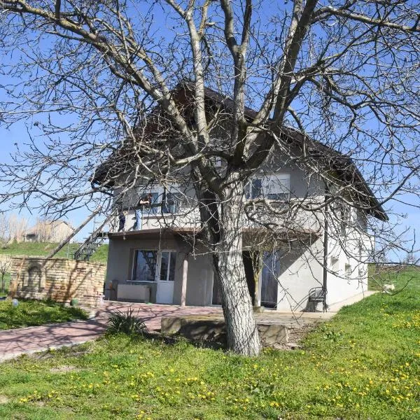 Dunja, hotel a Sivac