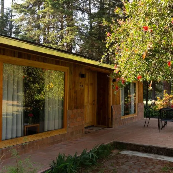 Hotel Rancho Viejo, hotel en El Aguaje