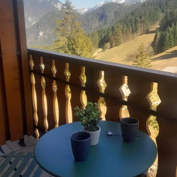 Appartement vu sur la montagne – hotel w mieście Le Biot