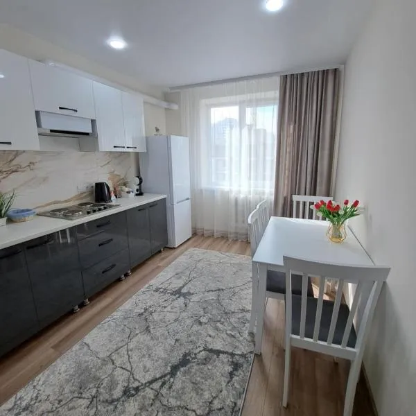 AirApartment, hotel v destinaci Chişinău