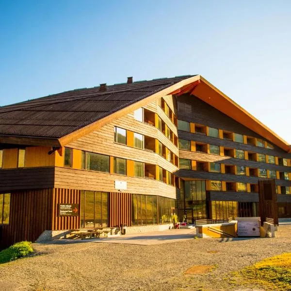Myrkdalen Resort Hotel, hotel v destinaci Myrkdalen