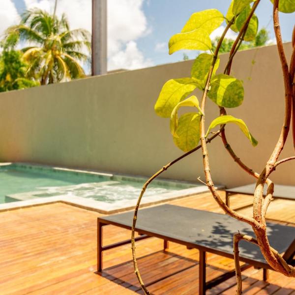 Casa de Luxo com Piscina Serena Eco em Milagres by Qavi - Foto 5
