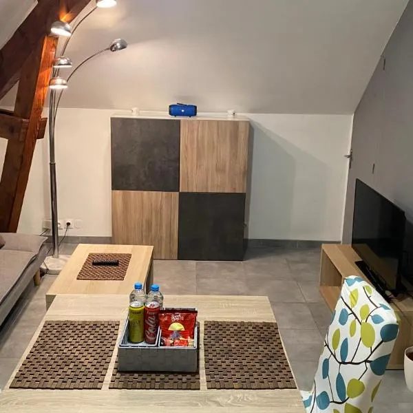 Magnifique T2 Cosy refait à neuf, hotel v destinácii Fleury-les-Aubrais