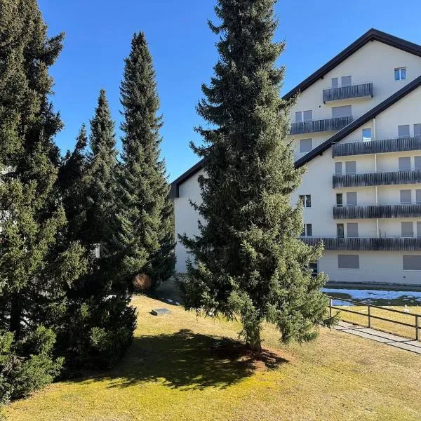 Slope-Side Mountain Apt Sleeps 4, Hotel in Laax