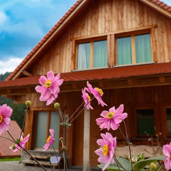 Dolomiti Village, hotel Comegliansban