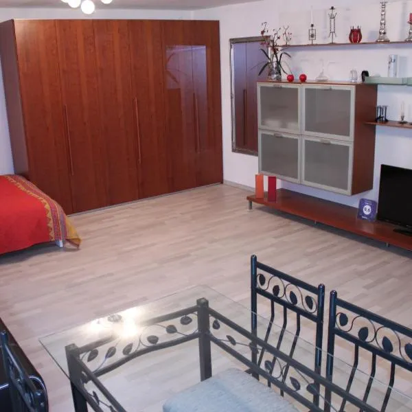 Studio 1 1/2, hotel v destinaci Contone