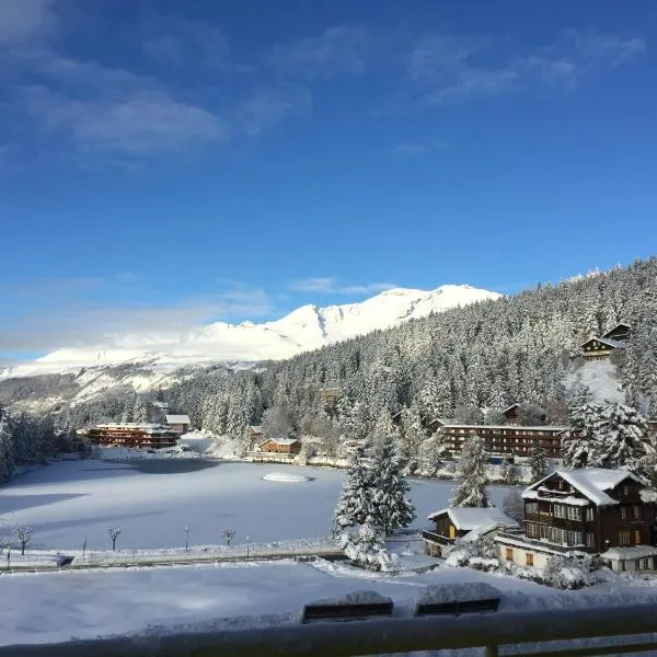 Grand Hôtel du Parc, ξενοδοχείο σε Crans-Montana