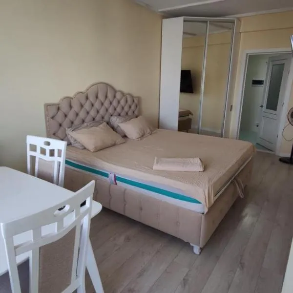 Central Double Budget Room Бюджетная комната для двоих в центре, hotel v destinaci Chişinău