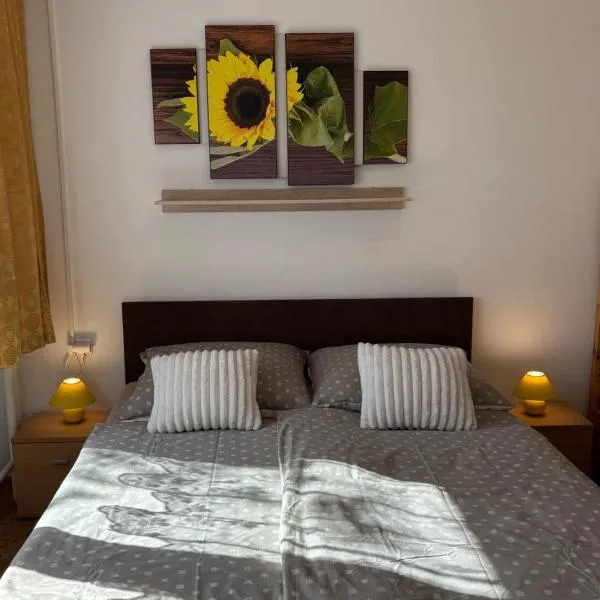 Apartmanovy dom Grand, hotel ve Štúrově