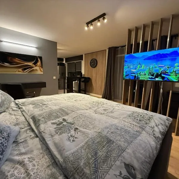 Apartment am Zentrum der Murg!, hotel v destinaci Gaggenau