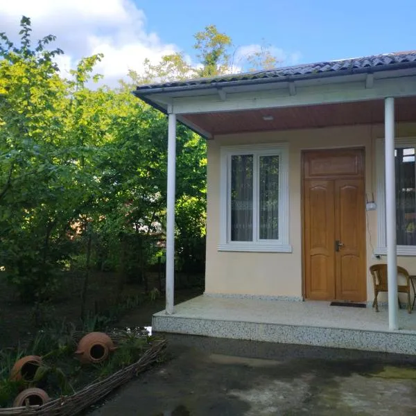 BaBa guesthouse, hotel v destinaci Martvili