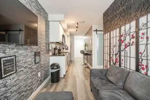 Gorgeous looking 2 bedroom Apt in downtown silverspring, hotel in Silver Spring