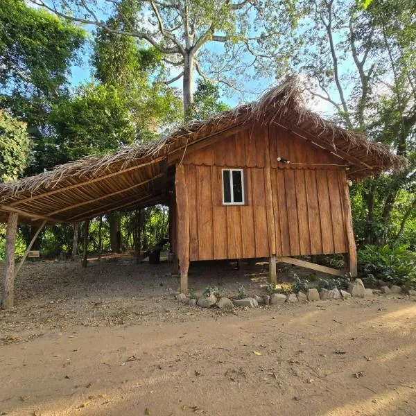 Cotton Tree Cabin at Freshwater Creek Cabanas, hotel i Hopkins