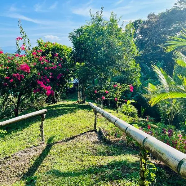 El Cerrito, hotel v destinaci Puerto Jiménez