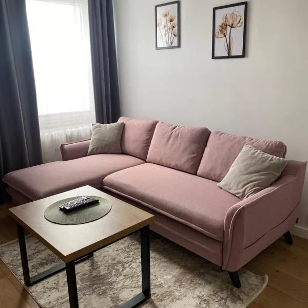 Apartament Mirka centrum, hotel v destinaci Lidzbark Warmiński