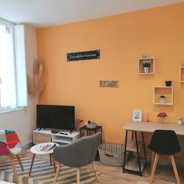STUDIO Rénové 26 m2 Centre Historique, hotel v destinaci Rodez