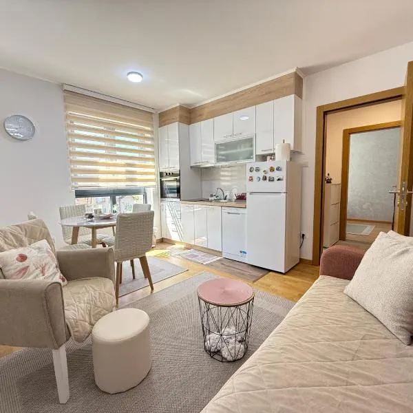 Aleksandar apartman Sokobanja，索科礦泉村的飯店