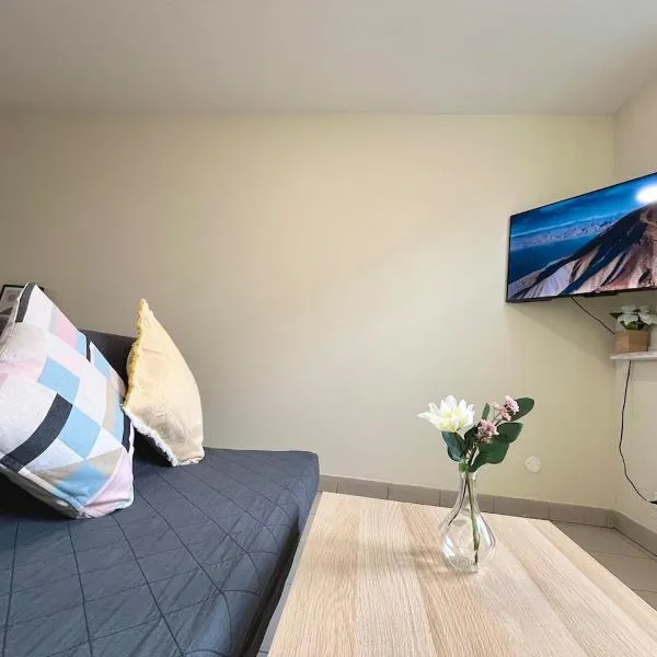 Duplex rénové à 15 min de Lyon，位于Saint-Fons的酒店