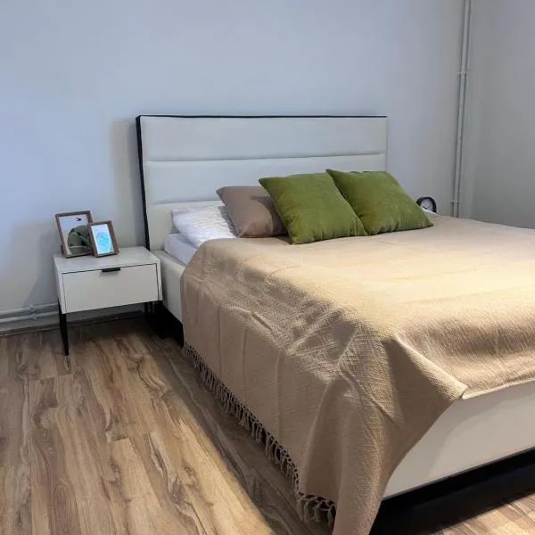 Black and Ginger Residence, hotel v destinaci Zrenjanin