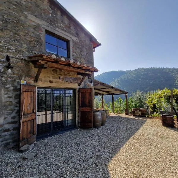 Il Frantoio, Loft rurale, con bbq e giardino in Pontifogno, hotell sihtkohas Reggello