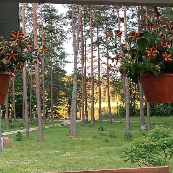 Dreamcatcher, hotell sihtkohas Straupe