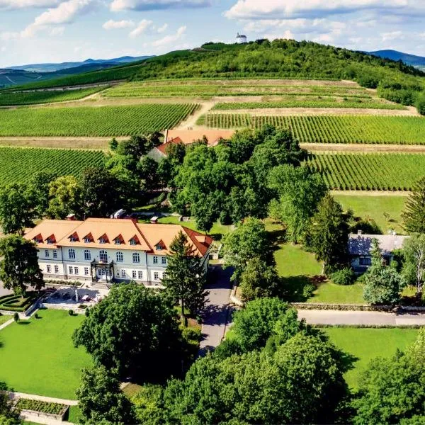 Castle Hotel Grof Degenfeld Superior, hotel in Tarcal