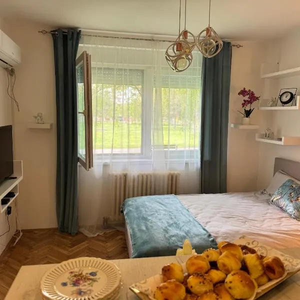 Dream Home, hotel in Sombor