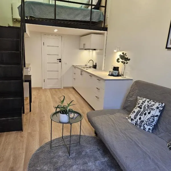 Loft in Freda, hotel in Kaunas