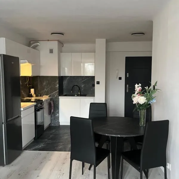 Comfortable one bedroom apartment, hotel v destinácii Świdnik