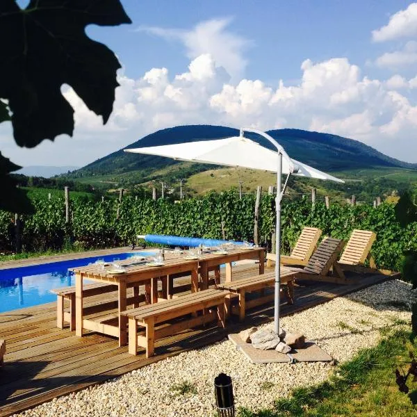Csernus Doki bor-grillterasza és bungallói, hotel v destinaci Eger