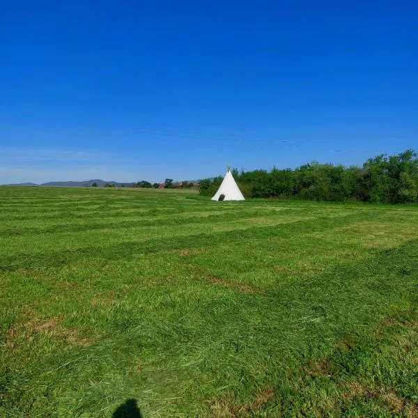 Tipi en pleine nature, hotel em Dargoire
