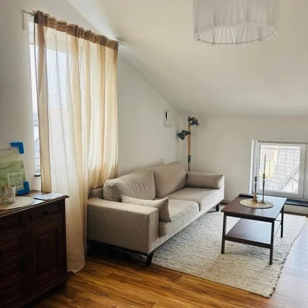 Laichingen Center with style & tranquility, hotel in Laichingen