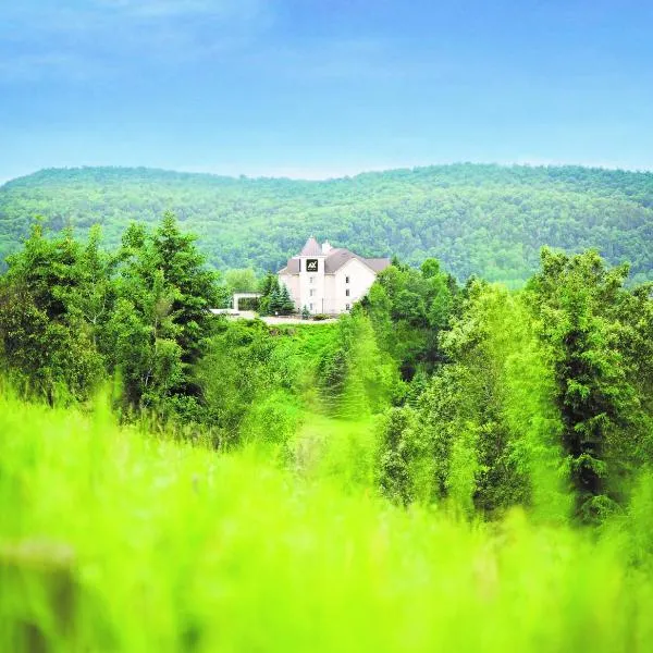 AX Hotel, hotel en Mont-Tremblant