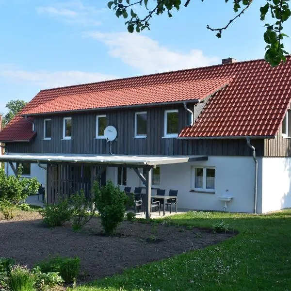 Große Wohnung, hotel in Roggentin