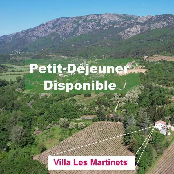 Villa Les Martinets-Jacuzzi-Voie Verte-Gorges d'Héric-Massif du Caroux Mons Olargues 34600, hotel in Le Poujol-sur-Orb