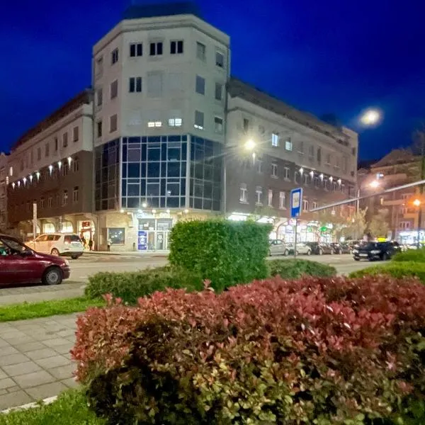 Stan na dan Flower, hotel en Šabac