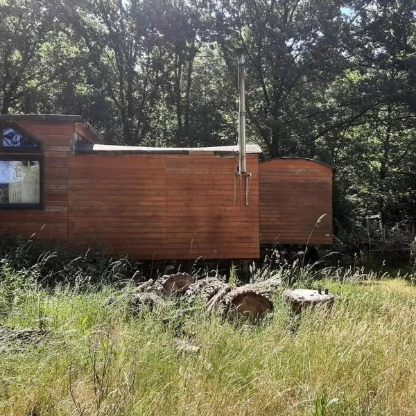 Urlaub in der Bauwagenidylle, hotel in Ladbergen