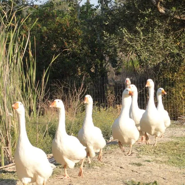 Aroggia Farm、Xanthátaiのホテル