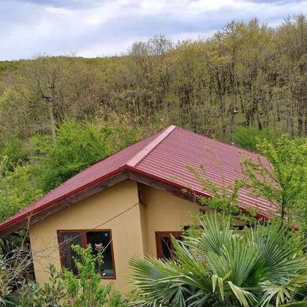 Yellow villa Fani, hotel di Sinemorets