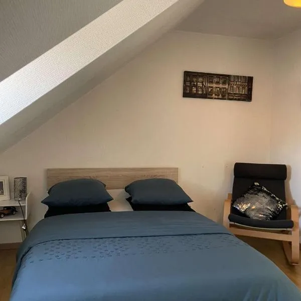 Joli appartement avec place de parking Privé، فندق في كولمار