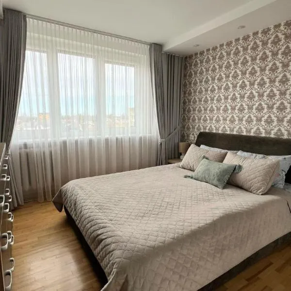 E D Arena View Apartment, hotel in Šiauliai