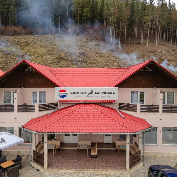 Pensiune Restaurant Căprioara Toplița, hotel in Topliţa