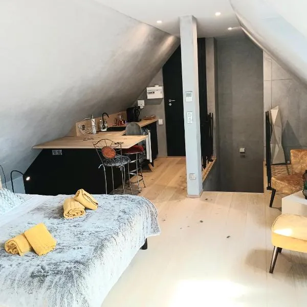 L'Ecrin de Velours Elégant-Paisible, hotel Rosheimben