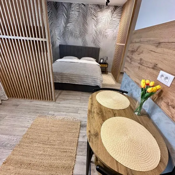 Sofia Residence Studio Cetate, hotel in Târgu Neamț