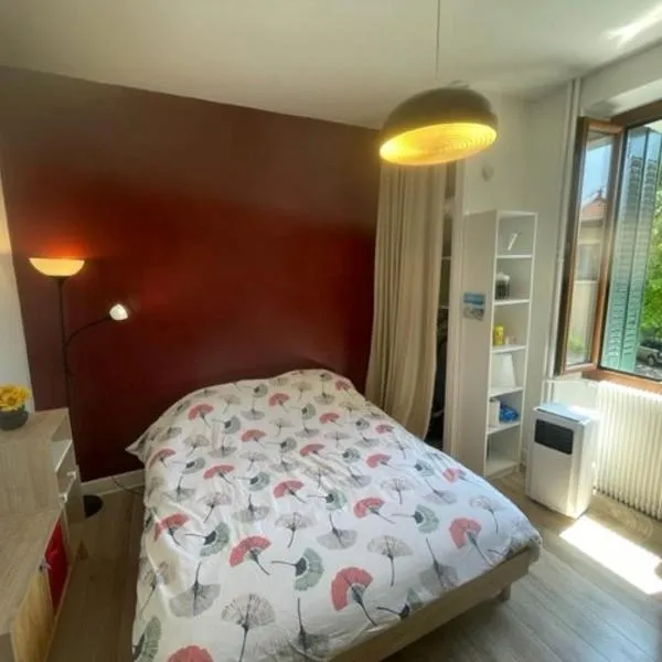 Très beau studio proche centre, très calme, hotel in Annecy