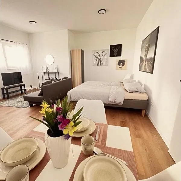 Studio Apartment Albblick, hotel di Trossingen