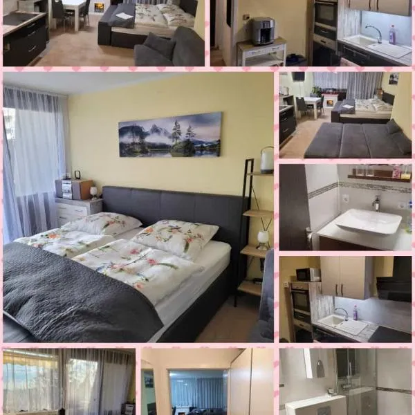 Feuersalamander Appartement am Predigtstuhl, hotel in Sankt Englmar