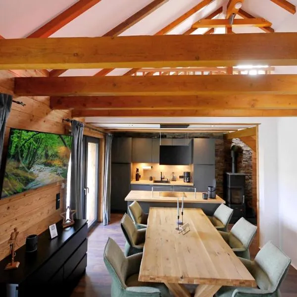 Alte Försterei - Luxus-Fewo JÄGERHEIM mit Pool & Sauna, Hotel in Willingen